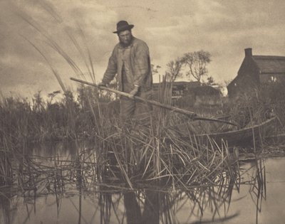 Découpage du Gladdon - Peter Henry Emerson