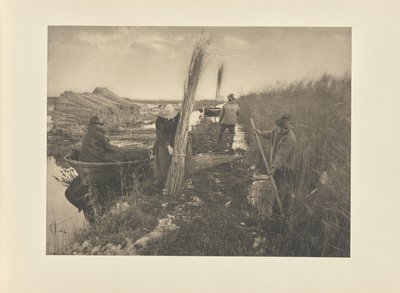 Pendant la récolte des roseaux - Peter Henry Emerson