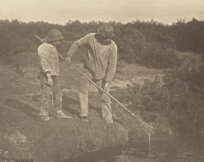 AnguilleCueillette dans les eaux du Suffolk - Peter Henry Emerson
