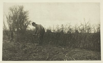 Escrime dans le Suffolk - Peter Henry Emerson
