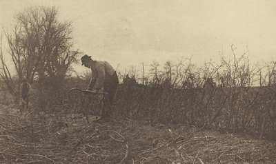 Clôtures dans le Suffolk - Peter Henry Emerson