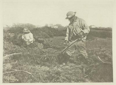 Coupe de genêts sur une commune du Suffolk - Peter Henry Emerson