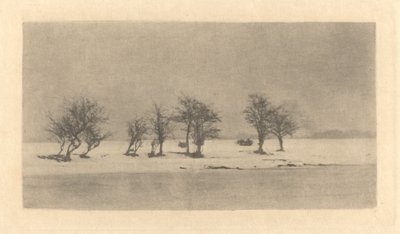 Arbres Noueux-Épineux - Peter Henry Emerson
