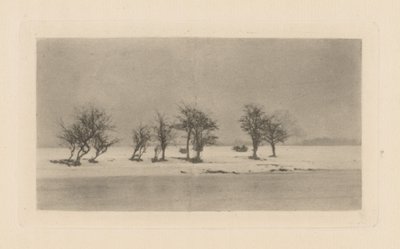 Arbres épineux noueux - Peter Henry Emerson