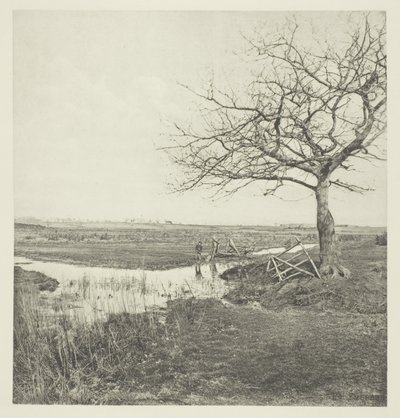 Mars sans feuilles (Suffolk) - Peter Henry Emerson