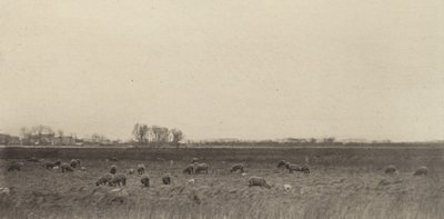 Marais par la mer du Nord - Peter Henry Emerson