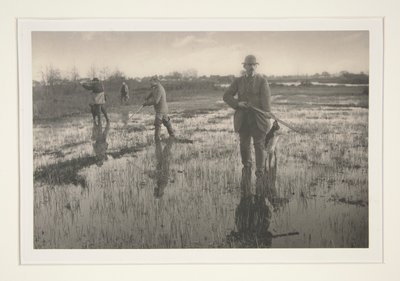 Hommes Chassant dans un Marais - Peter Henry Emerson