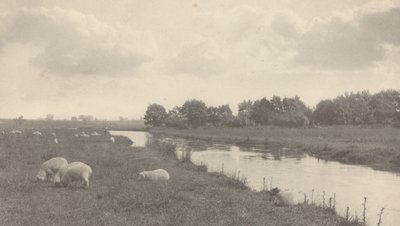 Sur la rivière Bure, 1886 - Peter Henry Emerson