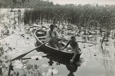 Une des quarante impressions au platine de 
