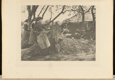 OsierPeeling. [Norfolk]]. - Peter Henry Emerson