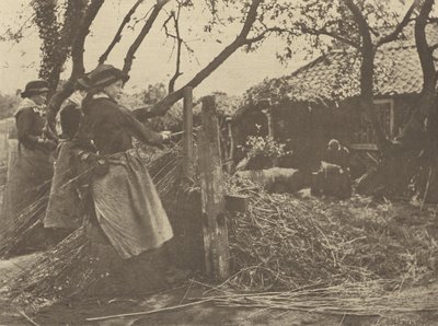 OsierPeeling. [Norfolk]]. - Peter Henry Emerson