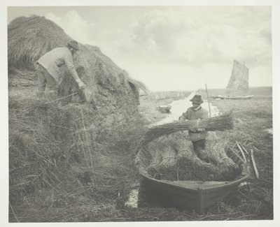 Empilage des roseaux - Peter Henry Emerson