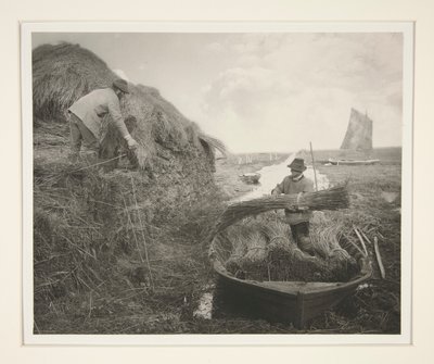 Empilage des roseaux - Peter Henry Emerson