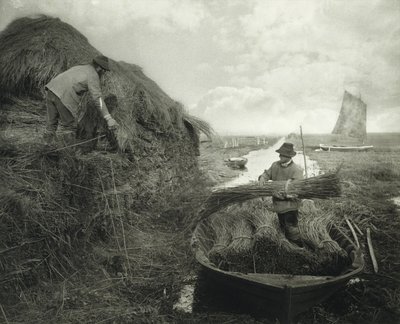 Ricking the Reed - Peter Henry Emerson