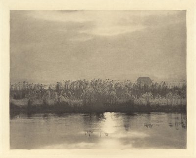 Cristaux de givre - Peter Henry Emerson