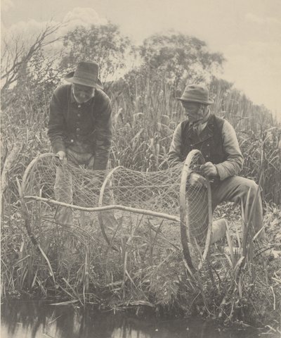 Installation du filet à arc - Peter Henry Emerson