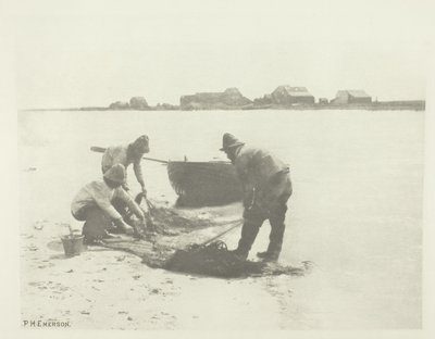 Fusion sur la rivière Blythe (Suffolk) - Peter Henry Emerson