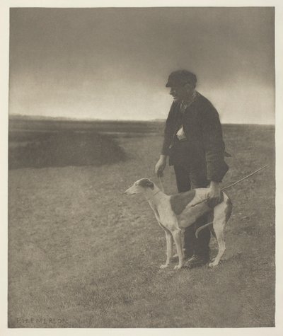 Le braconnier - Un lièvre en vue, (Suffolk) - Peter Henry Emerson