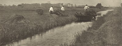 La récolte des joncs - Peter Henry Emerson