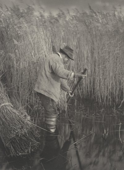 Un coupeur de roseaux au travail - Peter Henry Emerson and T.F. Goodall