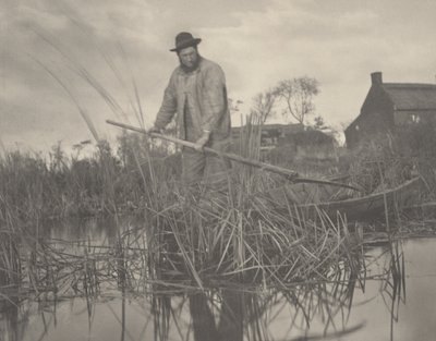 Couper le gladdon - Peter Henry Emerson and T.F. Goodall