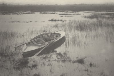 Canonnier travaillant à la volaille - Peter Henry Emerson and T.F. Goodall