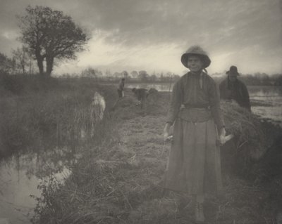 Poussant le foin des marais - Peter Henry Emerson and T.F. Goodall