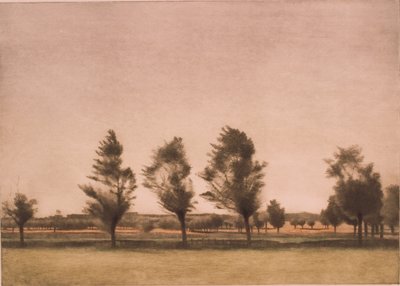 Paysage de Falster - Peter Vilhelm Ilsted