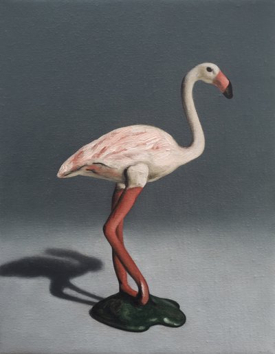 Flamant rose - Peter Jones