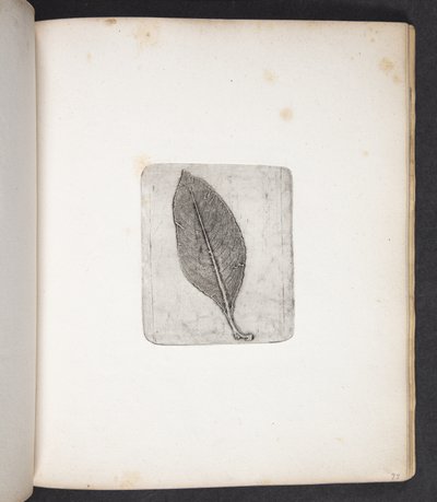 Empreinte de feuille - Peter Larsen Kyhl
