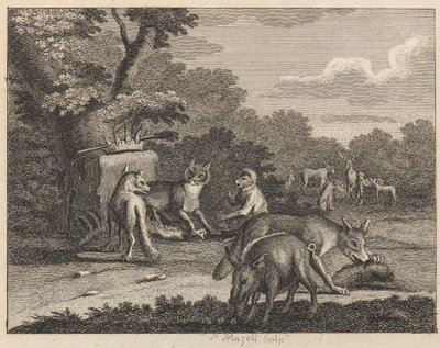 Le chacal, le léopard et d