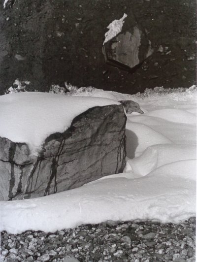 PHOTO N&B VINTAGE No.3, 1985 - Peter McClure