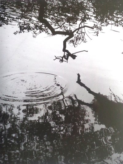 PHOTO N&B VINTAGE No.5, 1986 - Peter McClure