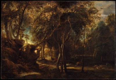 Une forêt à l