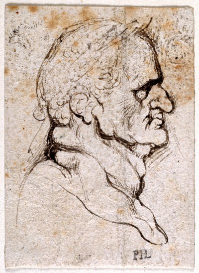 Galba, d