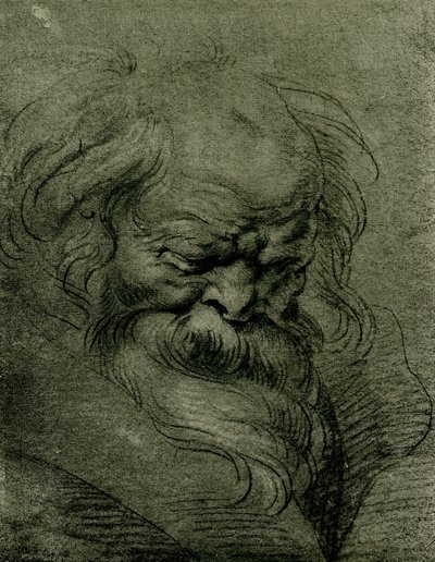 Étude de tête pour Bacchus - Peter Paul Rubens