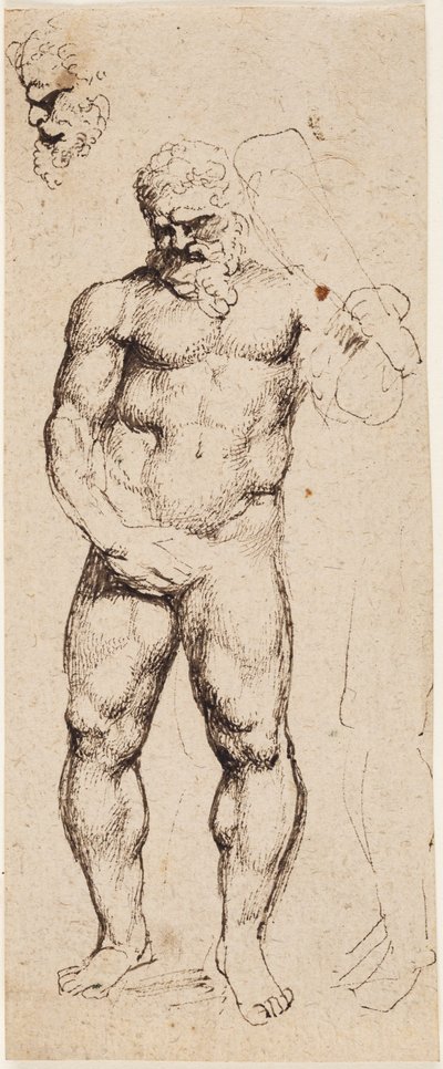 Hercule - Peter Paul Rubens