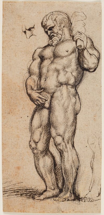 Hercule - Peter Paul Rubens
