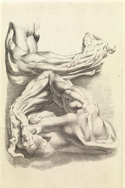 Muscles - Peter Paul Rubens