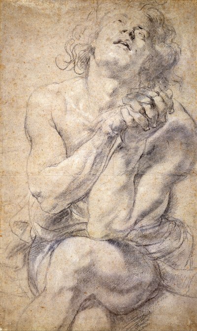 Jeune homme assis (étude pour Daniel) - Peter Paul Rubens