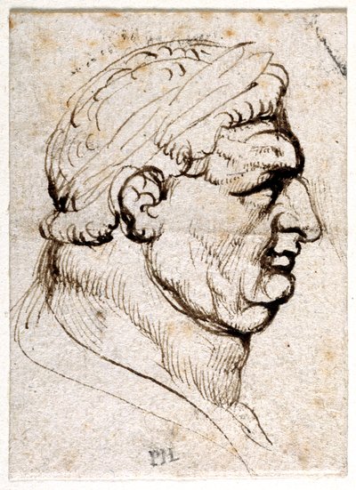 Vitellius, d