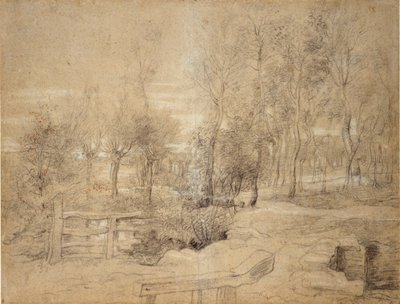 Scène boisée, début du XVIIe siècle - Peter Paul Rubens