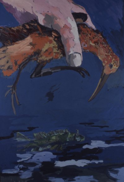 La grande main dans le ciel - Peter Wilson