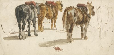 Trois chevaux de trait en harnais, vue de dos - Peter de (attr.) Wint