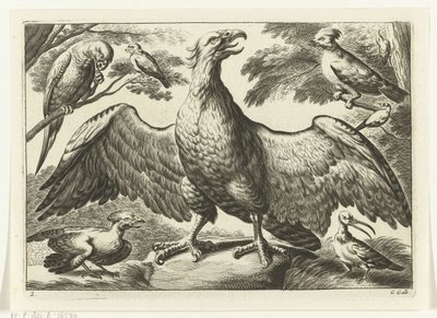 Aigle - Peter van Liesebetten
