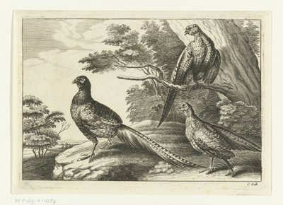 Trois faisans - Peter van Liesebetten