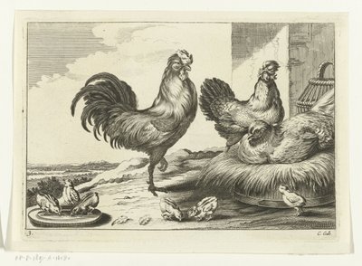 Poulet, coqs et poussins - Peter van Liesebetten