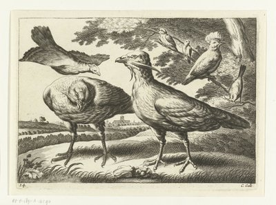 Oies et un cacatoès - Peter van Liesebetten