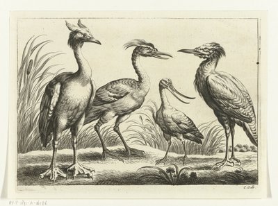 Quatre échassiers (Diversarum avium species) - Peter van Liesebetten