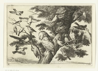Oiseaux dans un arbre (Diversarum avium species, Verschillende vogels) - Peter van Liesebetten